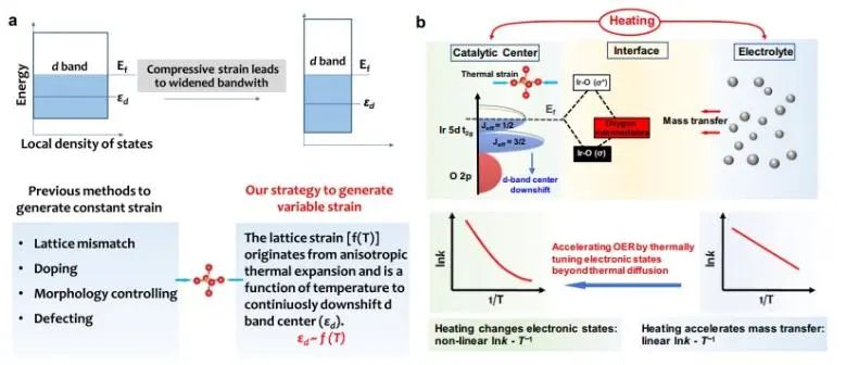 南京大學Nature子刊：各向異性熱膨脹調節連續應變，有效提升OER活性