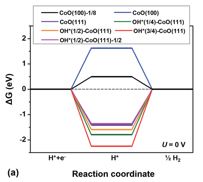 VASP金屬催化計(jì)算培訓(xùn)：熱門金屬催化劑、HER、OER/ORR、CO2RR、NO3RR、NRR、d帶中心、自由能、吸附能