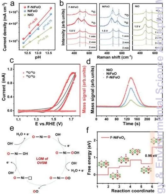 韓曉鵬/劉光/李晉平EES：NiMoO4中引入Fe3+和F?，實現大電流水/鹽水穩定氧化