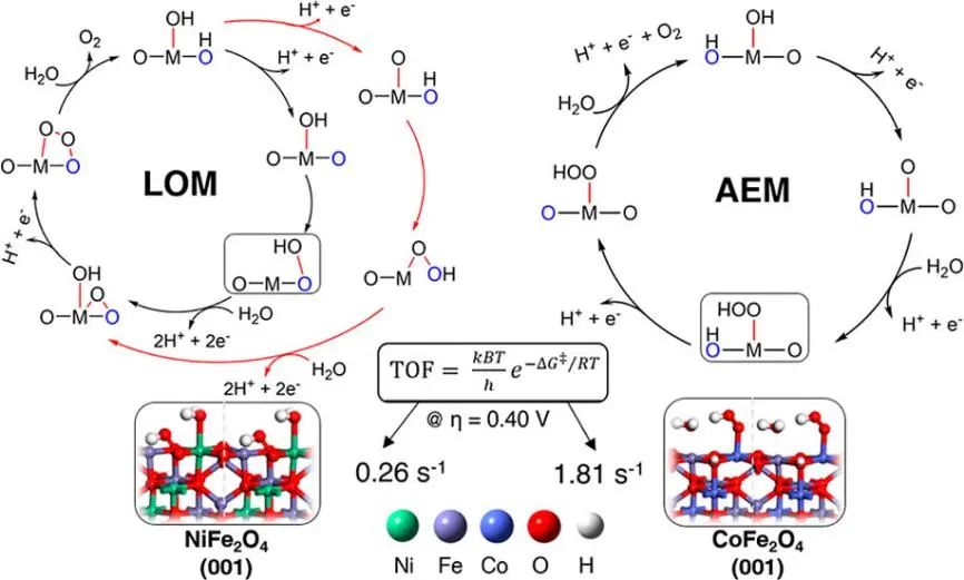 VASP金屬催化計算培訓：熱門金屬催化劑、HER、OER/ORR、CO2RR、NO3RR、NRR、d帶中心、自由能、吸附能