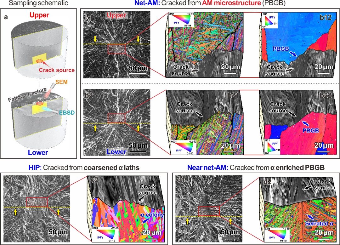Nature：中國科學院金屬研究所張哲峰團隊報道3D打印鈦合金超高疲勞強度