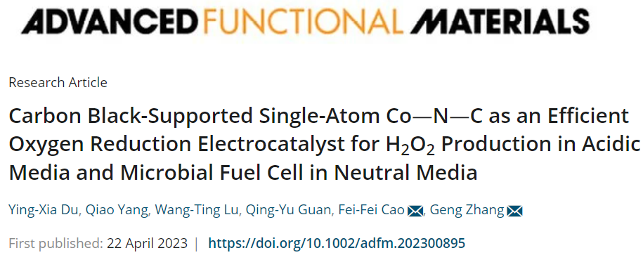 ?【DFT+實驗】AFM：CB@Co-N-C助力H2O2合成和微生物燃料電池