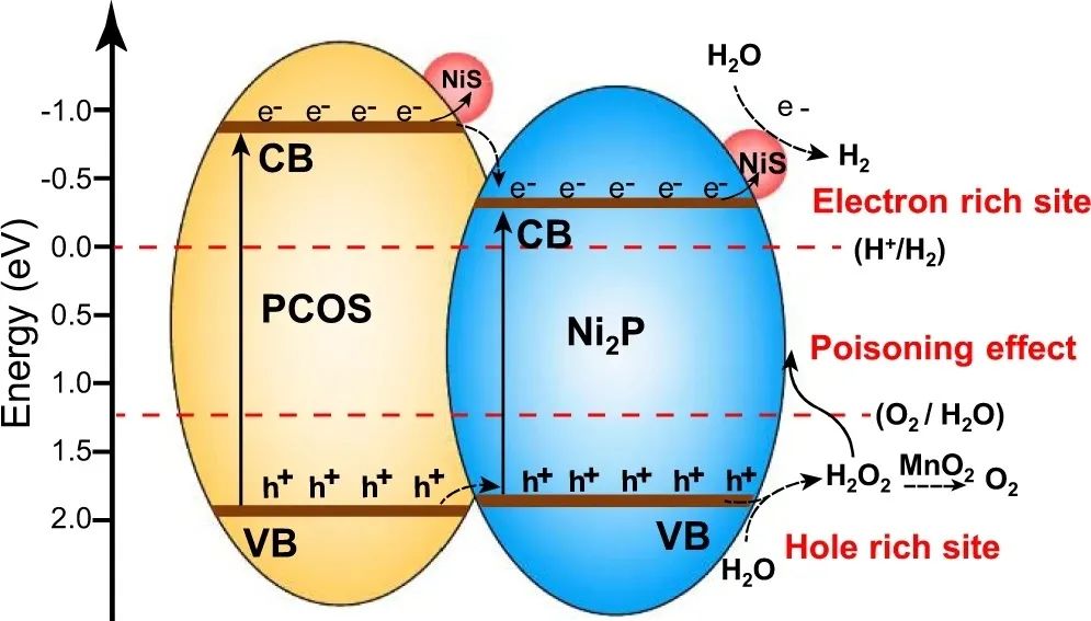 【DFT+實驗】Nature子刊：Ni2P/NiS@PCOS實現高效光催化整體水分解