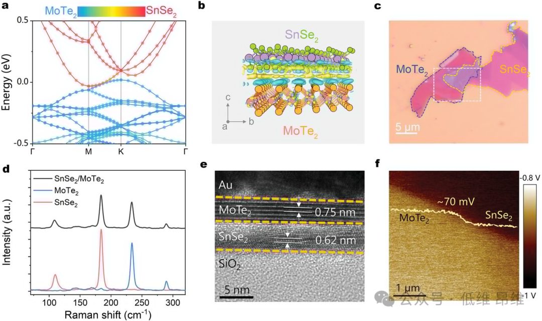 Adv. Optical Mater.：MoTe2/SnSe2異質結中的動態能帶對齊調制，用于高性能光電探測器
