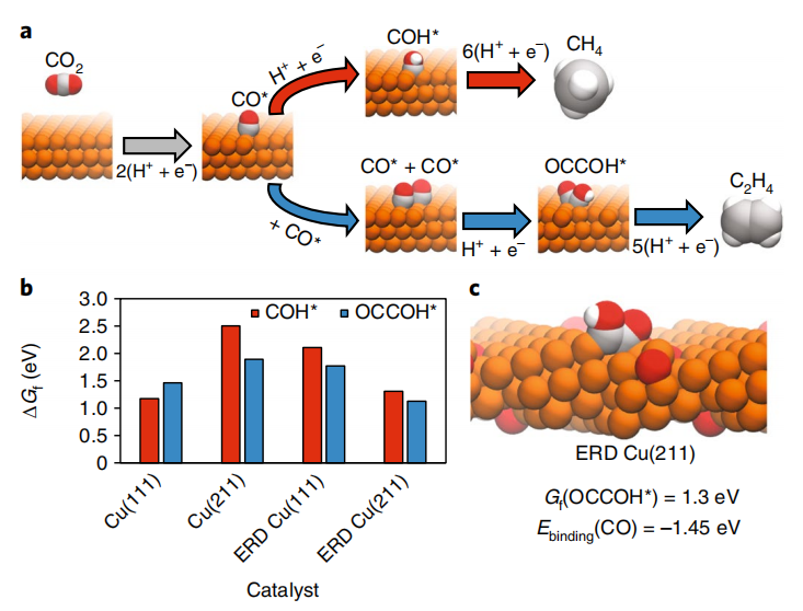 VASP金屬催化計算培訓：熱門金屬催化劑、HER、OER/ORR、CO2RR、NO3RR、NRR、d帶中心、自由能、吸附能