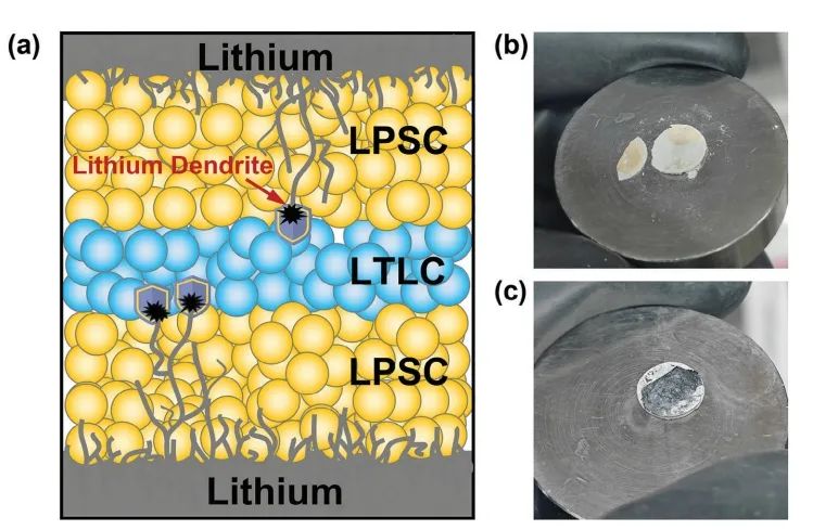 ?天大楊永安AM：LaCl3 基電解質增強 Li6PS5Cl 基固態電池