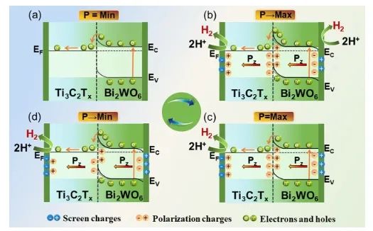 新大Nano Letters: 構建MXene/Bi2WO6肖特基結，實現高效壓電催化HER
