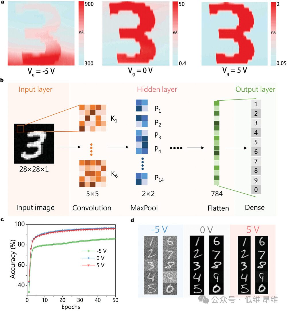 Adv. Optical Mater.：MoTe2/SnSe2異質結中的動態能帶對齊調制，用于高性能光電探測器