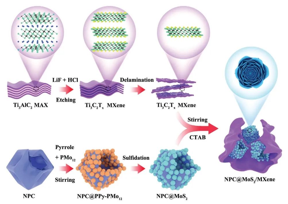 三單位聯合?Adv. Sci.：中空碳和 MXene 雙增強 MoS2用于大倍率和高容量儲鈉系統
