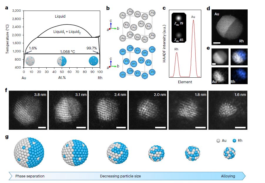 楊培東，最新Nature Nanotechnology！