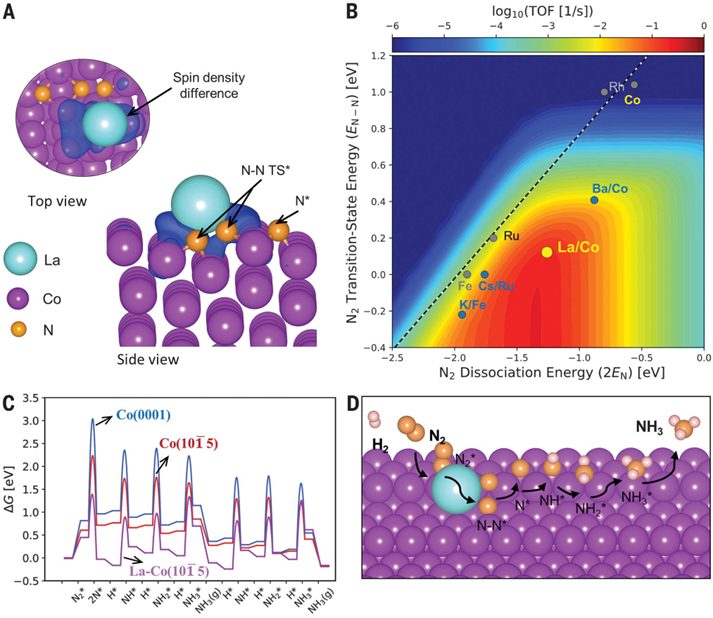 熱催化合成氨，最新Science！