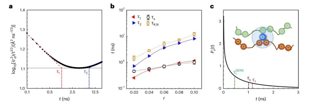 ?加州大學伯克利分校Nature Materials：鋰電池聚合物電解質中的納秒溶劑化動力學