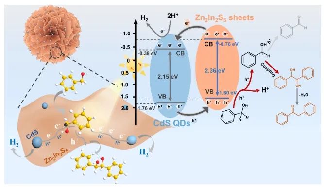 廈大ACS Catal.: CdS量子點修飾Zn2In2S5納米片，高效催化苯甲醇C-C偶聯與產氫