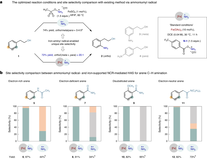 南開/天大，重磅Nature Catalysis！實現高度鄰位選擇性的催化合成新策略！