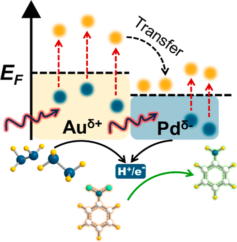 廈門大學ACS Catalysis: 位點選擇性雙金屬異質納米結構，實現高效光催化硝基苯加氫反應