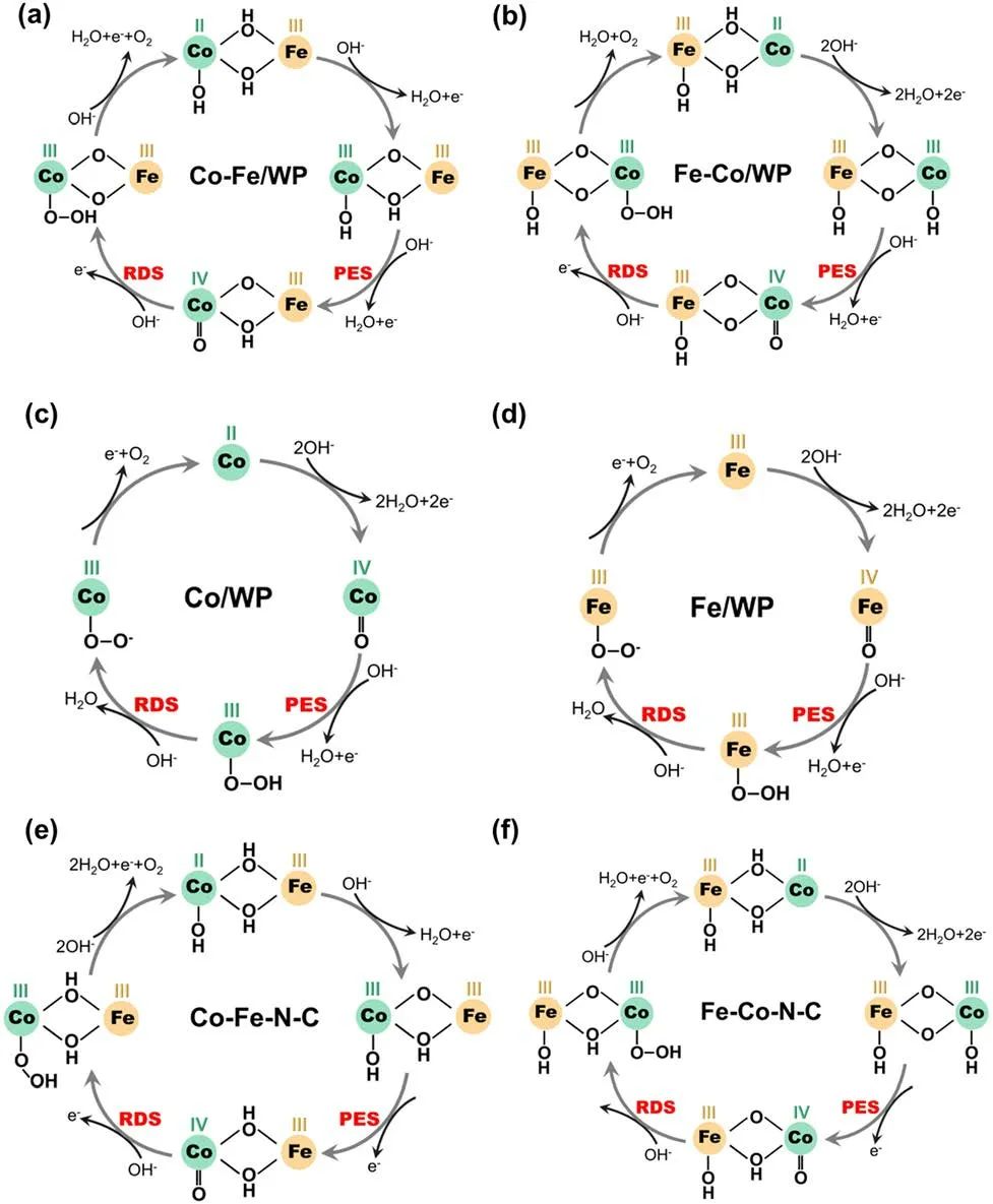 IF=46.2！Chem. Soc. Rev.最新綜述：過渡金屬基電催化劑OER各種機制！