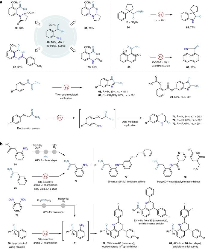 南開/天大，重磅Nature Catalysis！實現高度鄰位選擇性的催化合成新策略！