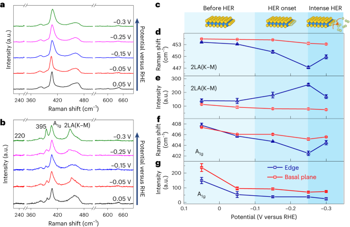 Nature Catalysis：MoS2電催化析氫反應中單個活性位點的可視化結構演變