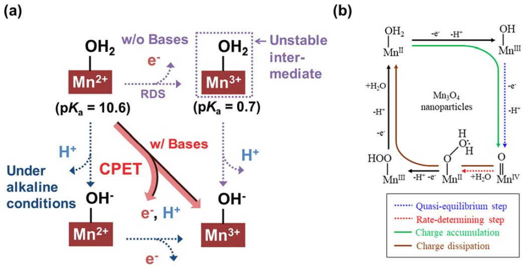 IF=46.2！Chem. Soc. Rev.最新綜述：過渡金屬基電催化劑OER各種機制！