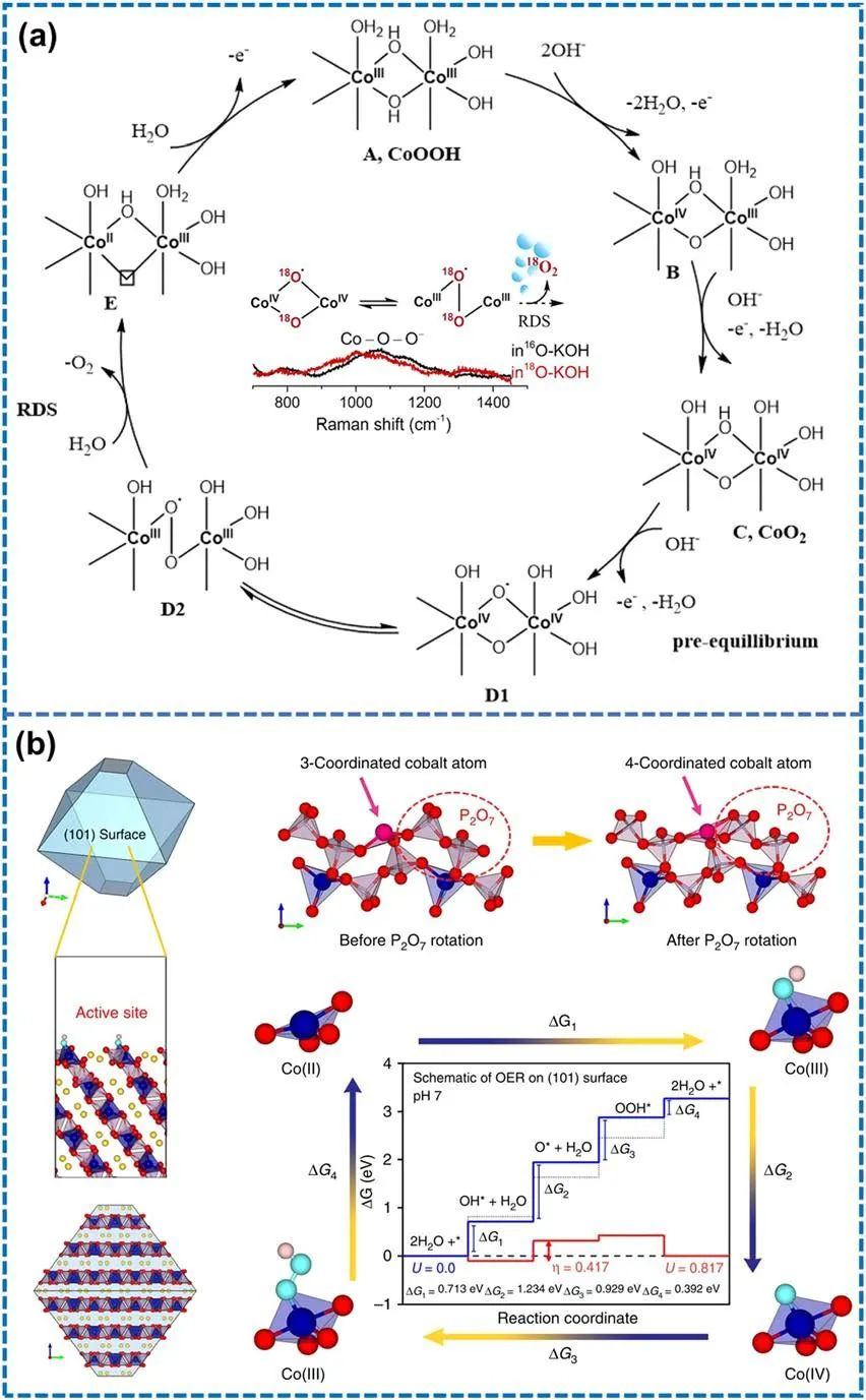 IF=46.2！Chem. Soc. Rev.最新綜述：過渡金屬基電催化劑OER各種機制！