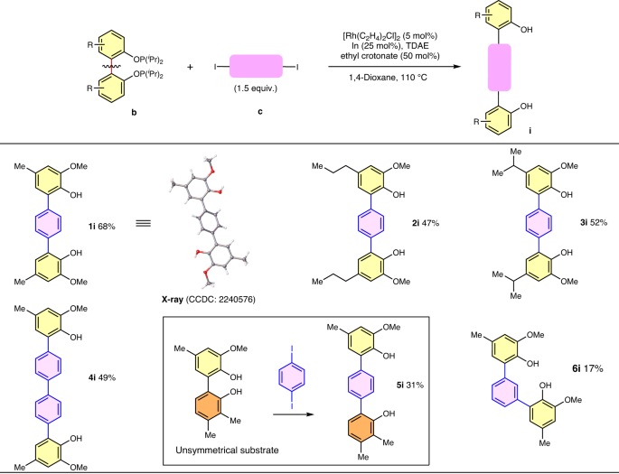 Nature Catalysis: 基于銠催化的非應變芳基-芳基鍵活化的分裂交叉偶聯策略