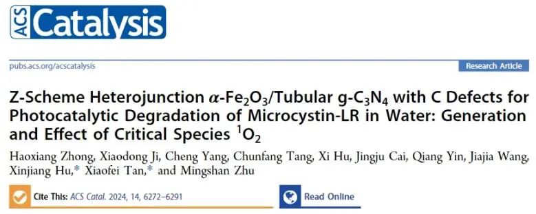 ?湖大/中南林科大ACS Catalysis：構建α-Fe2O3/TDCN Z型異質結，探究臨界物種1O2的產生及其效應