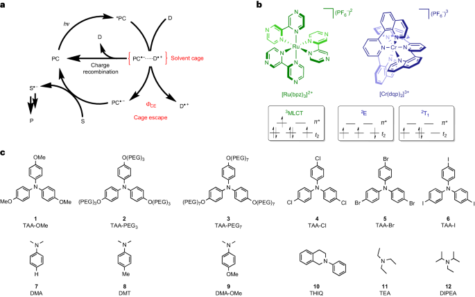 ?Nature Chemistry：光催化效率提升關(guān)鍵，逃逸現(xiàn)象如何重塑反應(yīng)速率？