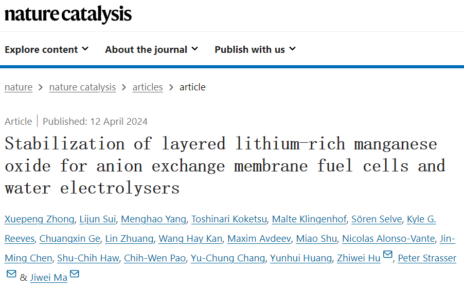 同濟大學馬吉偉團隊，最新Nature Catalysis！