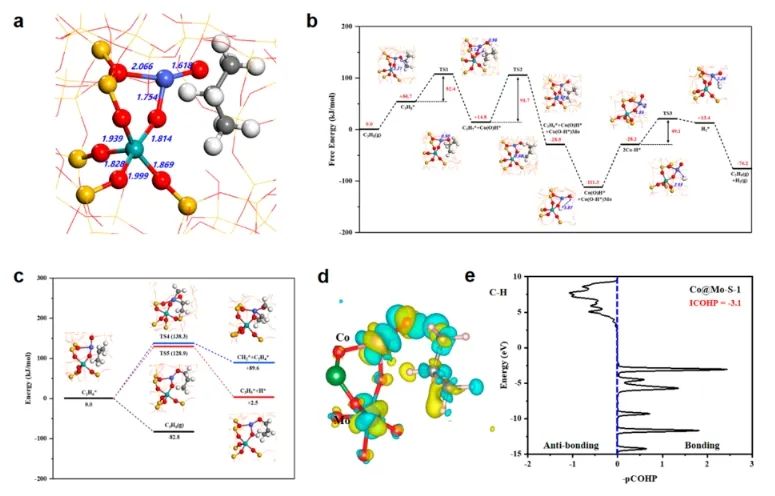 ?于吉紅/梅東海/孫啟明JACS: 三配位單原子Co錨定在Mo摻雜Si分子篩中，實現高效穩定催化丙烷脫氫