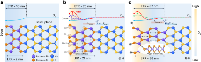 Nature Catalysis：MoS2電催化析氫反應中單個活性位點的可視化結構演變