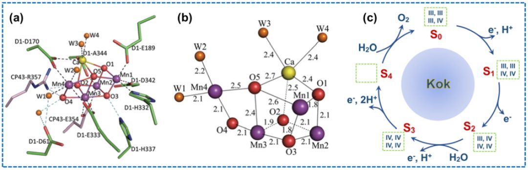 IF=46.2！Chem. Soc. Rev.最新綜述：過渡金屬基電催化劑OER各種機制！