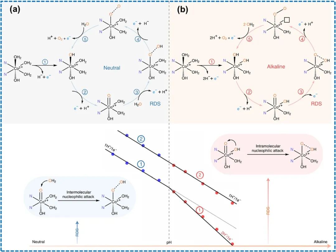 IF=46.2！Chem. Soc. Rev.最新綜述：過渡金屬基電催化劑OER各種機制！