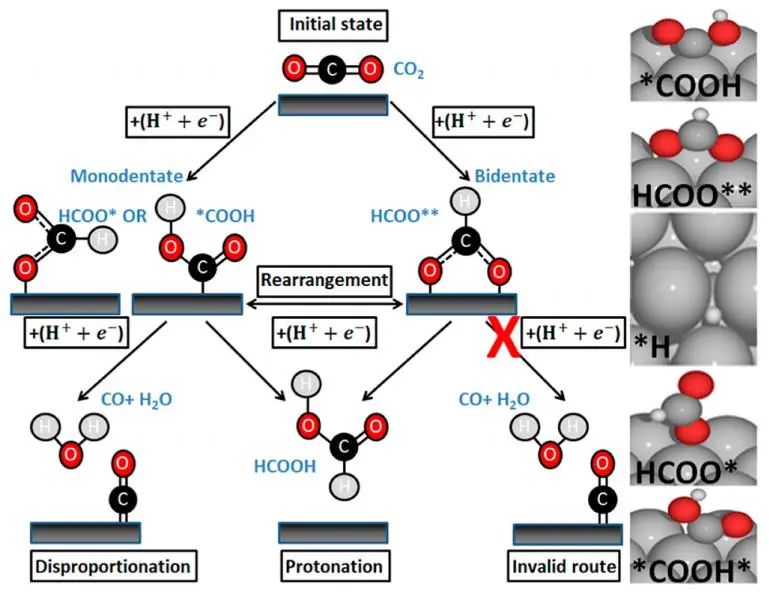 ACS Catalysis：電化學(xué)CO2RR中選擇性生成CO與HCOOH的新見解