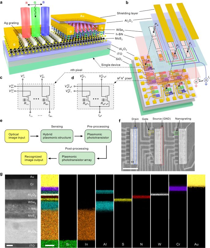浙江大學，最新Nature子刊！