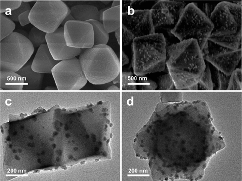 中科大江海龍團隊，最新JACS！