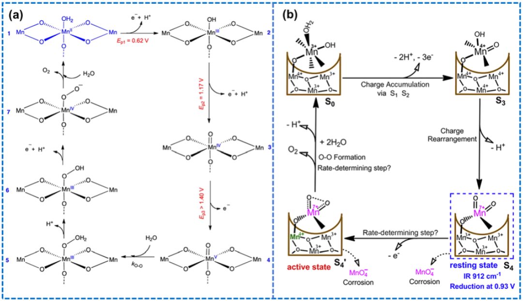 IF=46.2！Chem. Soc. Rev.最新綜述：過渡金屬基電催化劑OER各種機制！