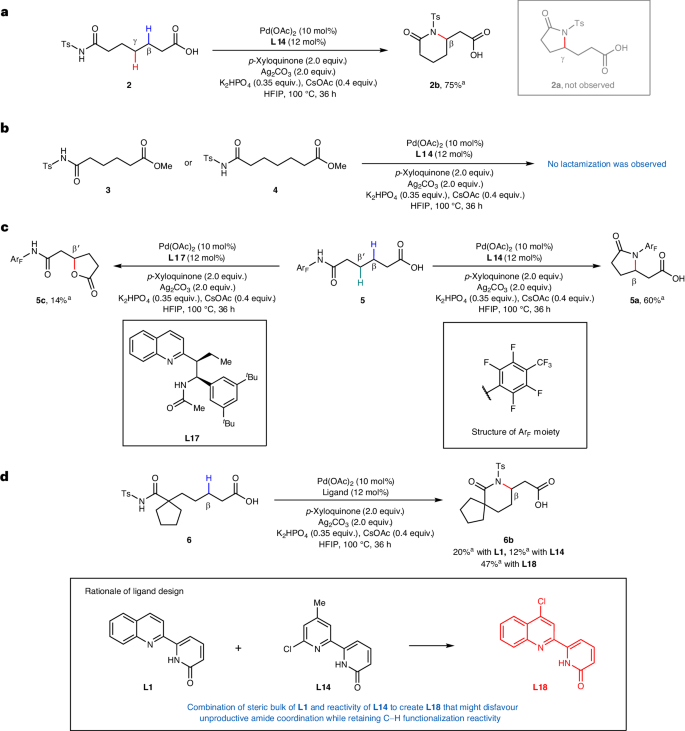 余金權，今日最新Nature Synthesis！