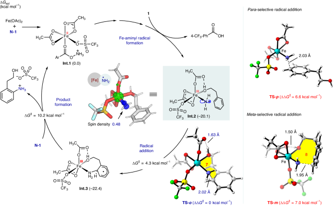 南開大學Nature Catalysis: 鐵-氨基自由基實現高選擇性芳烴C-H胺化反應