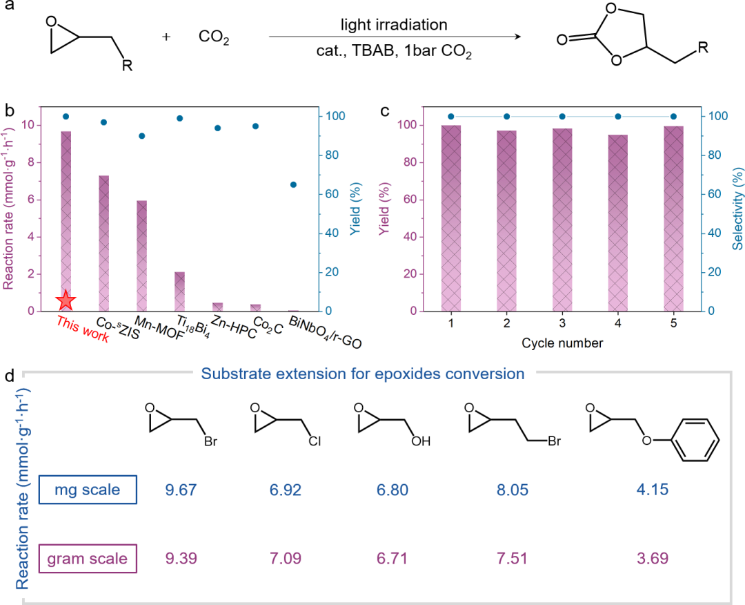 CCS Chemistry：類葉綠素仿生酶Mg-N4結構高效光催化CO2化學固定