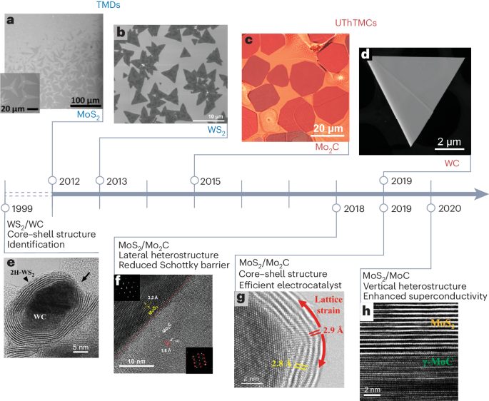 Nature Materials綜述: 揭秘二維材料的新奇跡，金屬碳化物與硫屬化物的異質結構革命！