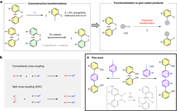 Nature Catalysis: 基于銠催化的非應變芳基-芳基鍵活化的分裂交叉偶聯策略
