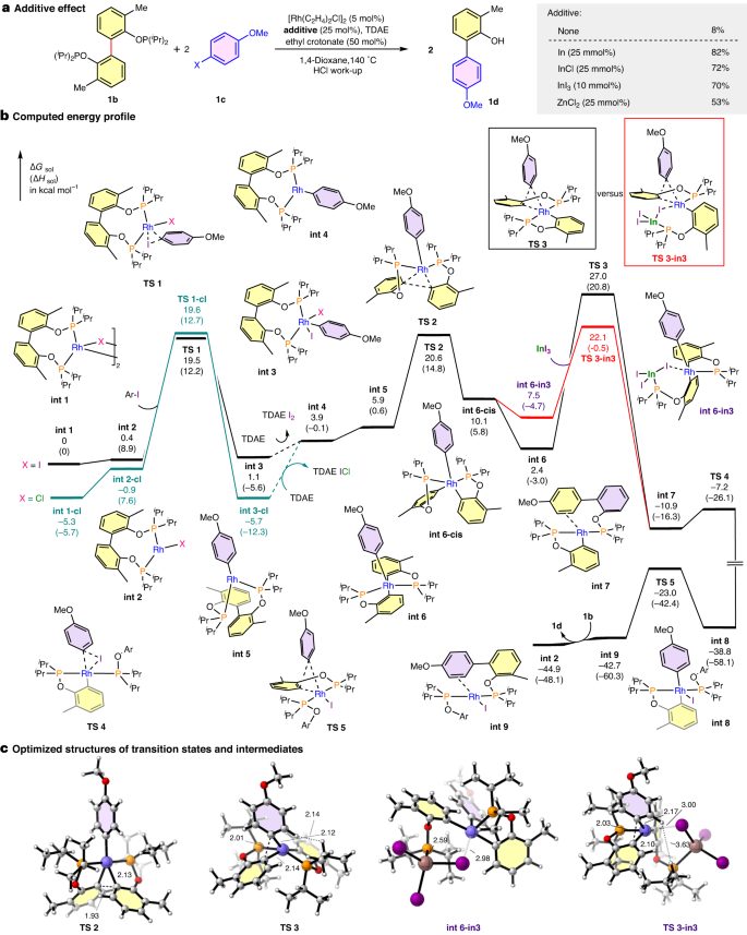 Nature Catalysis: 基于銠催化的非應變芳基-芳基鍵活化的分裂交叉偶聯策略