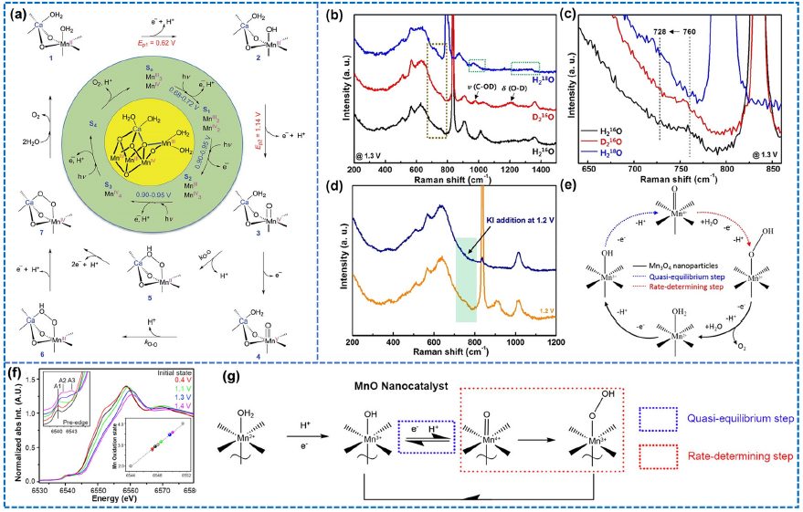 IF=46.2！Chem. Soc. Rev.最新綜述：過渡金屬基電催化劑OER各種機制！