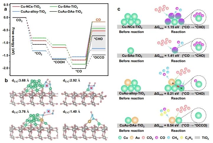 宋術巖/施偉東Nature子刊：CuAu雙原子協同作用，高效穩定光催化CO2轉化為C2H4