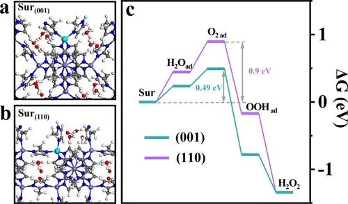 【DFT+實驗】JACS：晶體工程使鈷基金屬有機骨架成為制備H2O2的高性能電催化劑