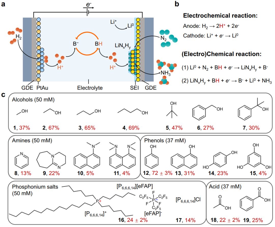 最新Nature子刊：電化學合成氨