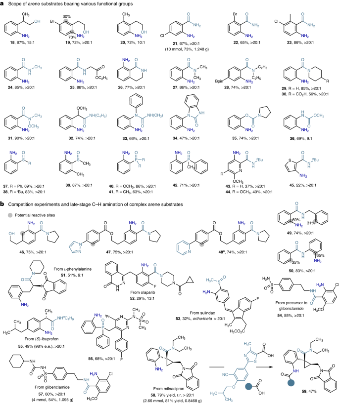 南開大學Nature Catalysis: 鐵-氨基自由基實現高選擇性芳烴C-H胺化反應