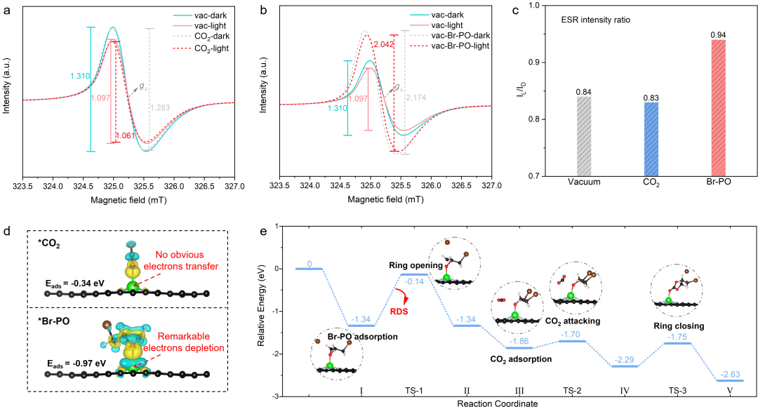 CCS Chemistry：類葉綠素仿生酶Mg-N4結構高效光催化CO2化學固定