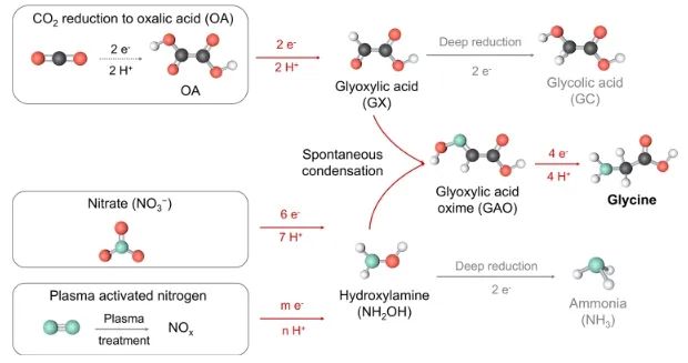 化學所JACS: OA和NO3?/NOx在Fe-N-C上共還原，顯著促進甘氨酸電合成