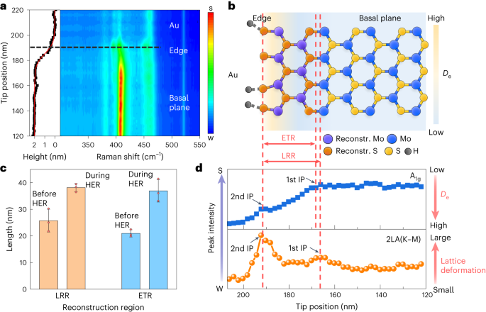 Nature Catalysis：MoS2電催化析氫反應中單個活性位點的可視化結構演變